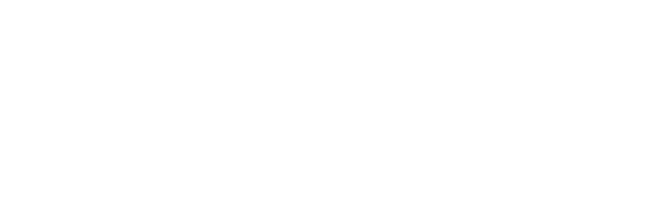 AIESEC Member